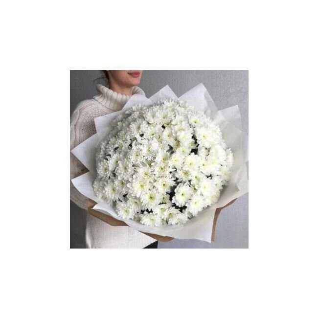 Букет из 35 белой хризантемы &laquo;Краски белого&raquo;