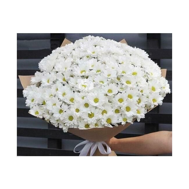 Букет из 35 хризантемами &laquo;Больше белого&raquo;