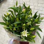 Букет с лилиями &laquo;Ли&raquo;