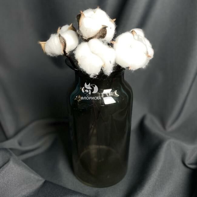 Ваза &laquo;Олимпия&raquo;