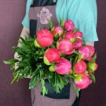 Пион &laquo;Корал шарм&raquo;