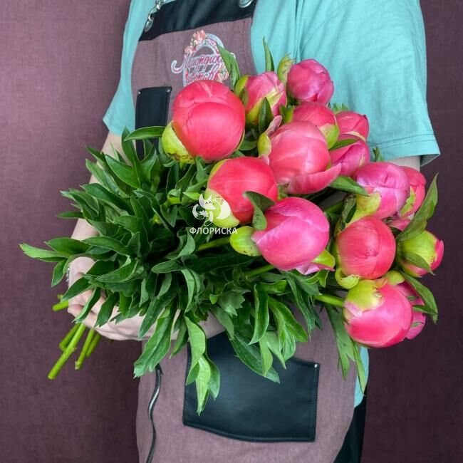 Пион &laquo;Корал шарм&raquo;