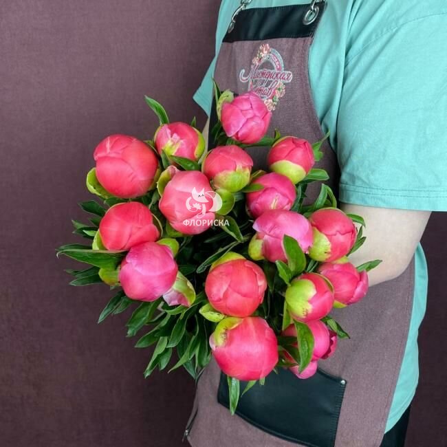 Пион &laquo;Корал шарм&raquo;