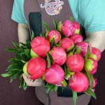 Пион &laquo;Корал шарм&raquo;