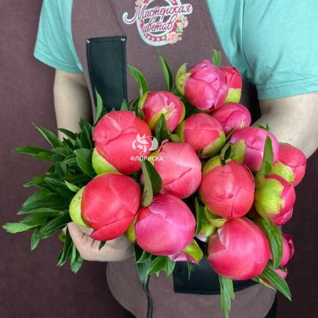 Пион &laquo;Корал шарм&raquo;