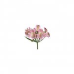 Альстромерия &laquo;Ярко-розовая&raquo;