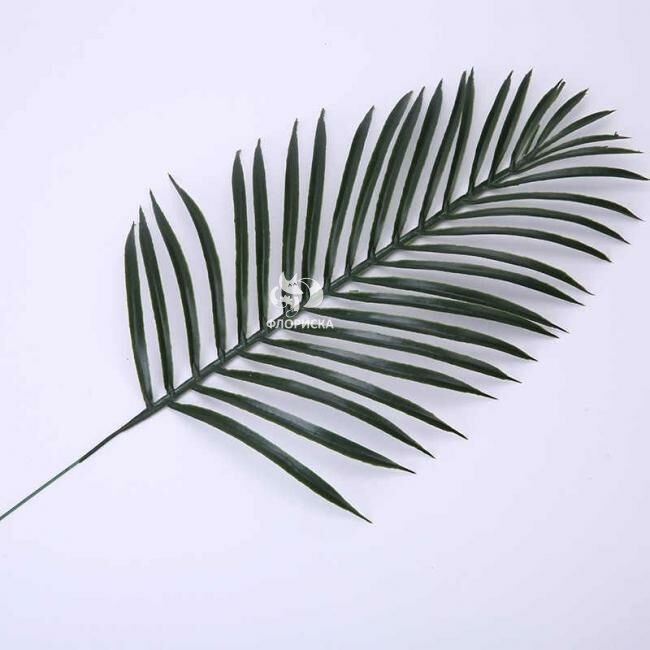 Зелень &laquo;Пальма&raquo;