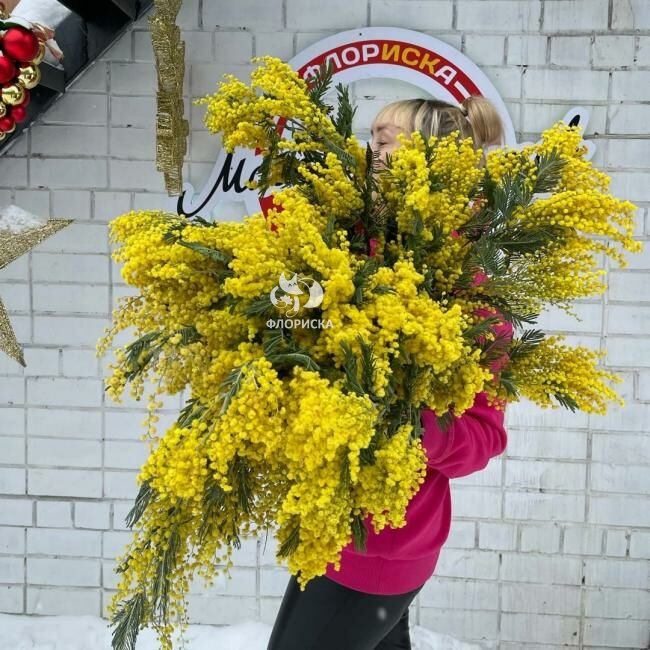 Зелень &laquo;Мимоза&raquo;