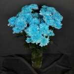 Хризантема кустовая &laquo;Синяя&raquo;