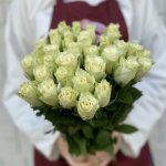 Роза &laquo;Белая кения&raquo;