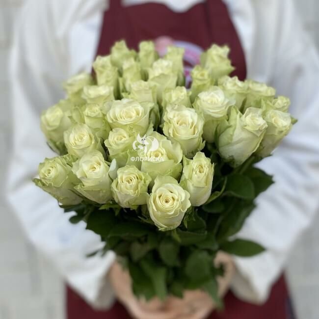 Роза &laquo;Белая кения&raquo;