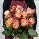 Роза &laquo;Кабарет&raquo;