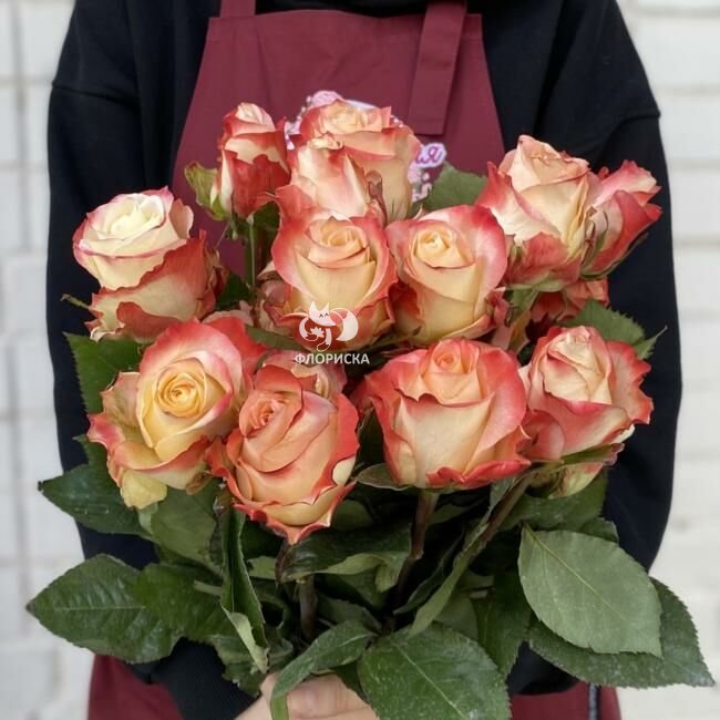 Роза &laquo;Кабарет&raquo;