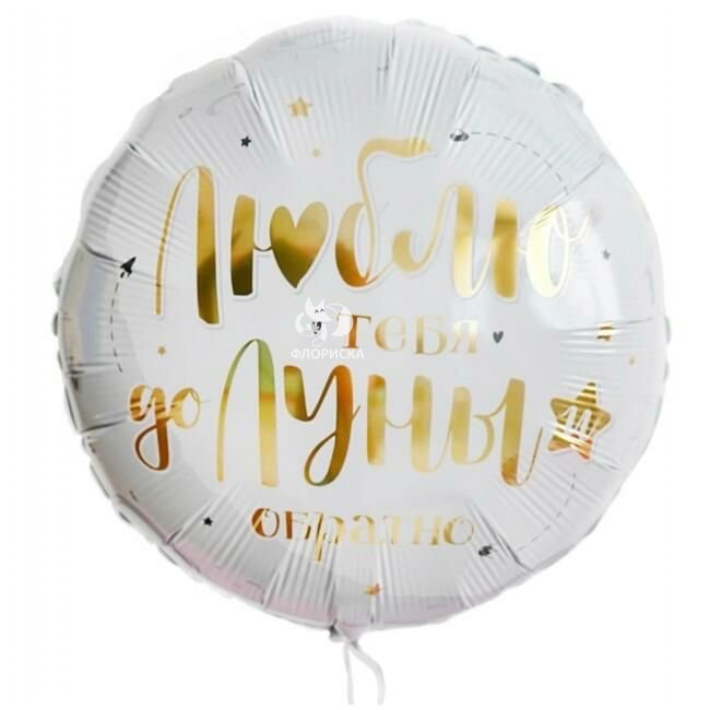 Воздушный шар &laquo;До луны и обратно&raquo;