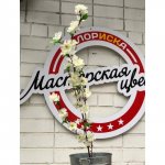 Искусственная ветка  &laquo;&lrm;Сакура&raquo;