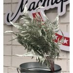 Искусственная ветка  &laquo;&lrm;Папоротника&raquo;