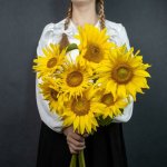Букет из подсолнухов &laquo;Солнышко&raquo;
