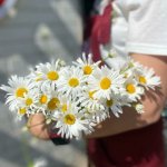 Букет с ромашками &laquo;Чистое поле&raquo;