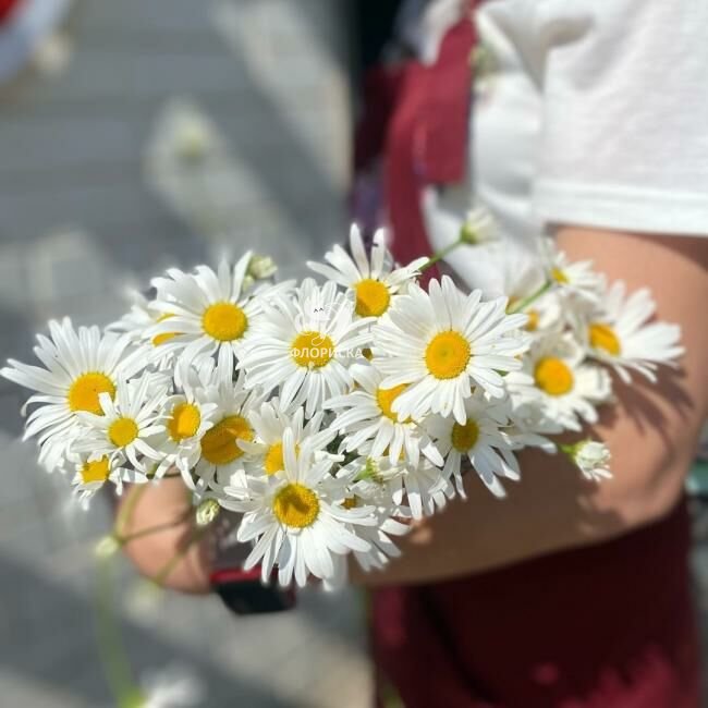 Букет с ромашками &laquo;Чистое поле&raquo;