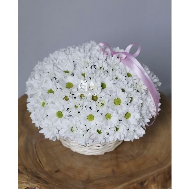 Цветы в корзине &laquo;Снежинка&raquo;