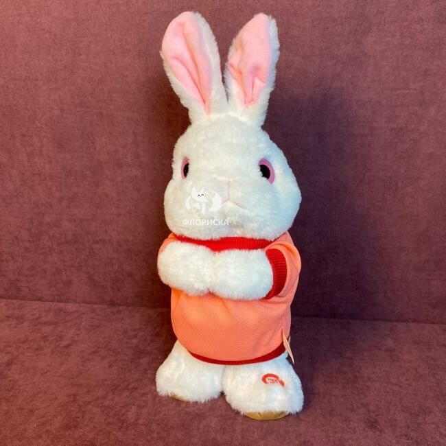 Мягкая игрушка &laquo;Антошка&raquo;