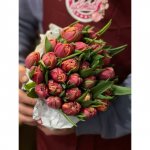 Тюльпан &laquo;Махровый&raquo;