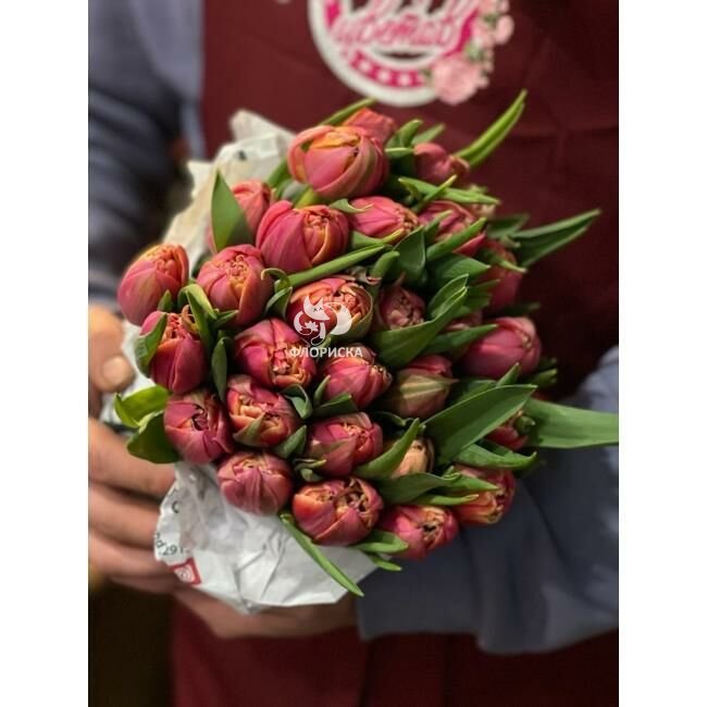 Тюльпан &laquo;Махровый&raquo;