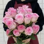 Роза &laquo;Мандала&raquo;