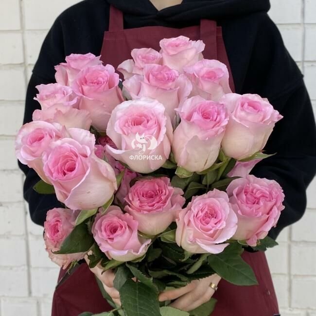 Роза &laquo;Мандала&raquo;