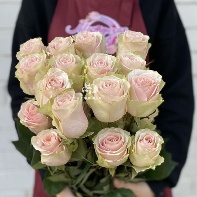 Роза &laquo;Фрутета&raquo;