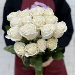 Роза &laquo;Плая Бланка&raquo;