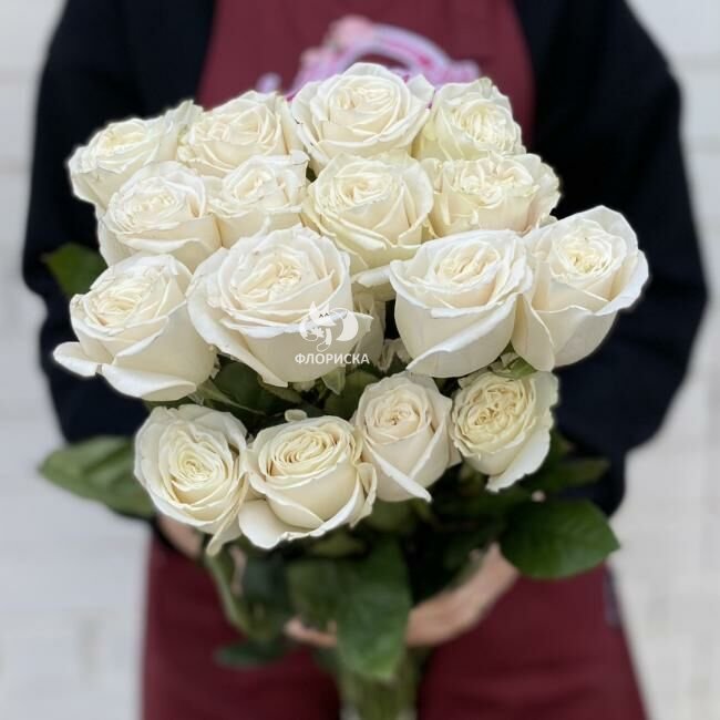 Роза &laquo;Плая Бланка&raquo;