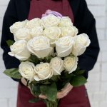 Роза &laquo;Плая Бланка&raquo;