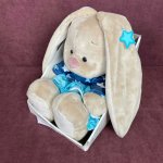 Мягкая игрушка &laquo;Зайка Ми звезда &raquo;