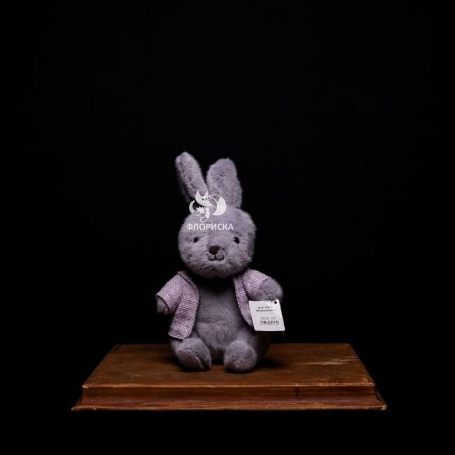 Мягкая игрушка &laquo;Зайка в кофте&raquo;