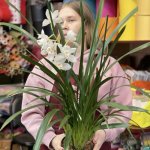 Цимбидиум &laquo;Белый&raquo;