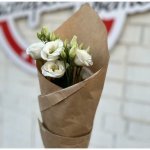 Лизиантус  &laquo;Белый&raquo;