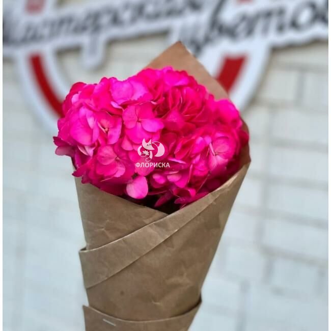 Гортензия  &laquo;Малиновая&raquo;