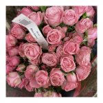 Кустовая роза &laquo;Амур&raquo;