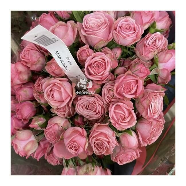 Кустовая роза &laquo;Амур&raquo;