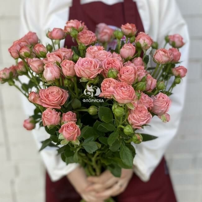 Кустовая роза &laquo;Амур&raquo;