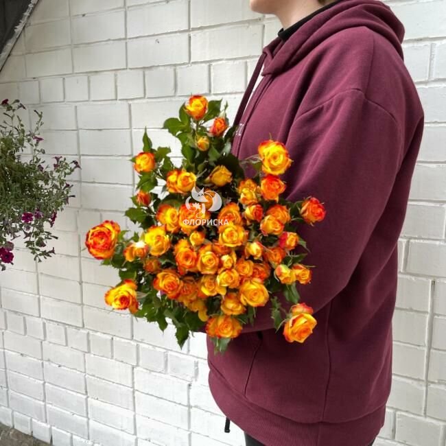 Кустовая роза &laquo;Огонь&raquo;