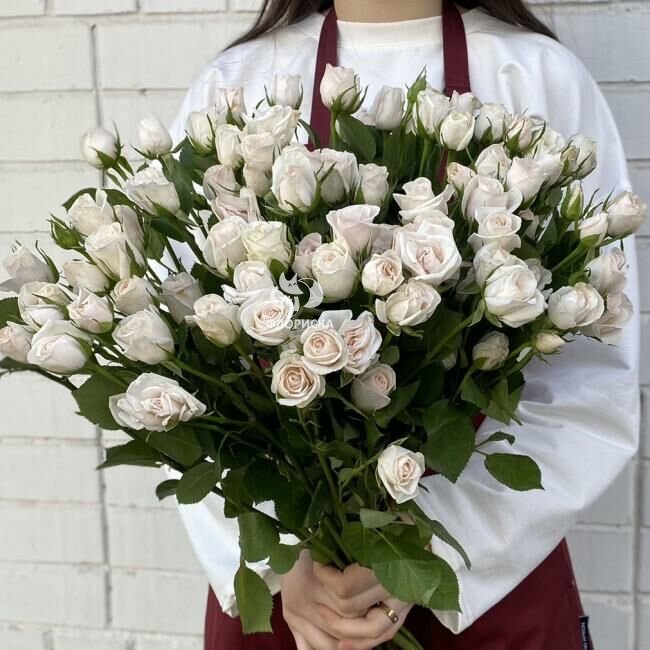 Кустовая роза &laquo;Белая&raquo;