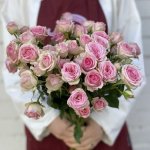 Кустовая роза &laquo;Неженка&raquo;