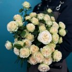 Кустовая роза &laquo;Крем&raquo;