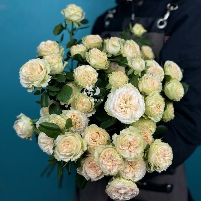 Кустовая роза &laquo;Крем&raquo;