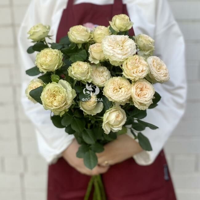 Кустовая роза &laquo;Крем&raquo;