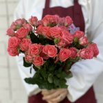 Кустовая роза &laquo;Персик&raquo;