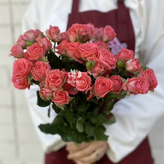 Кустовая роза &laquo;Персик&raquo;