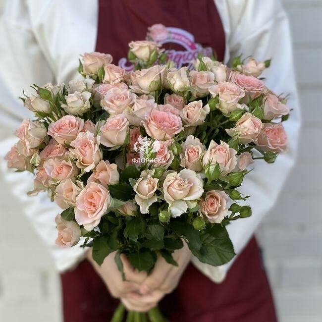 Кустовая роза &laquo;Нежная&raquo;